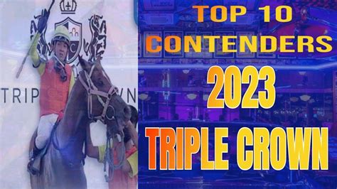 playmgm sportsbook|Odds for MVP contenders chasing Triple Crown in 2024 .